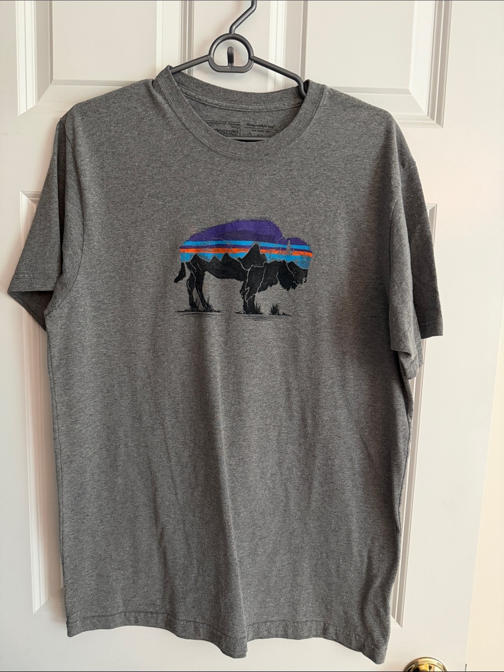 Patagonia Gray Short-Sleeve Tee with Multicolor Buffalo Graphic